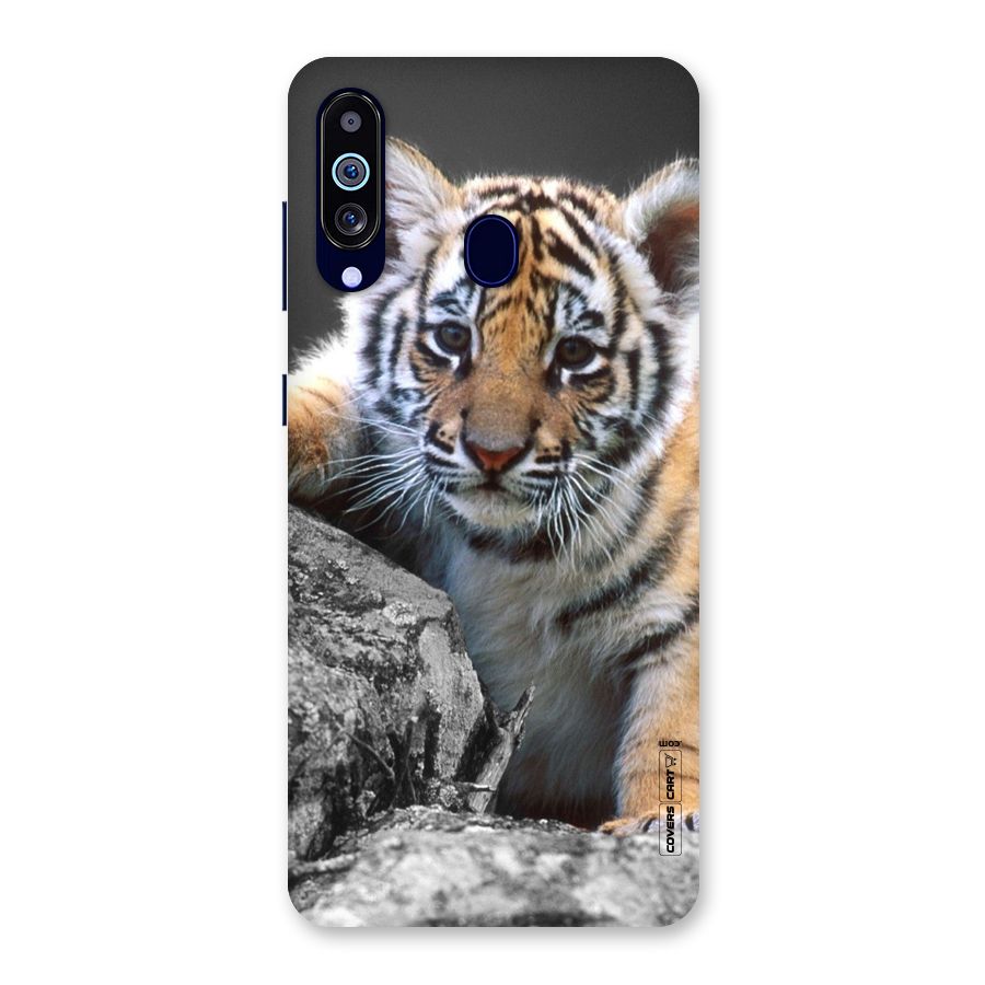 Animal Beauty Back Case for Galaxy M40