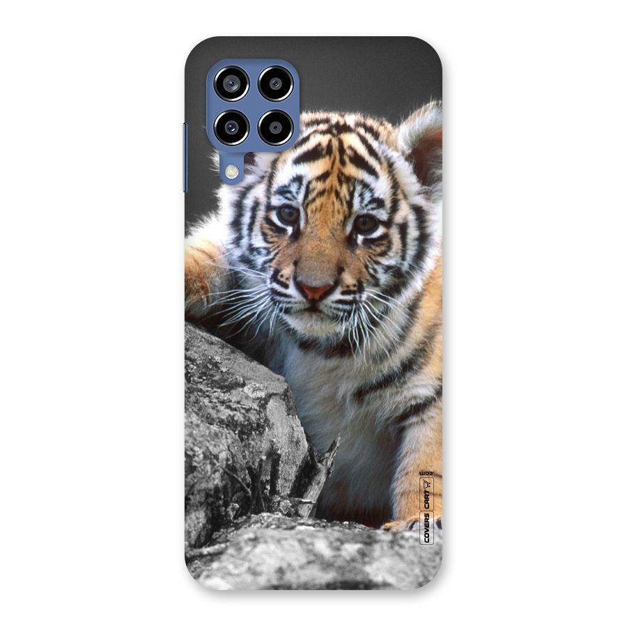 Animal Beauty Back Case for Galaxy M53 5G