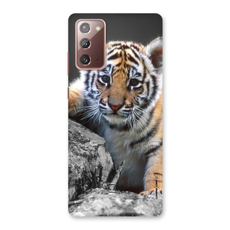 Animal Beauty Back Case for Galaxy Note 20