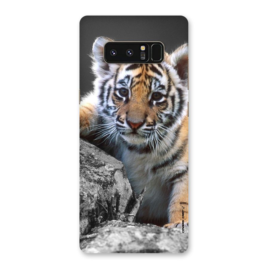 Animal Beauty Back Case for Galaxy Note 8