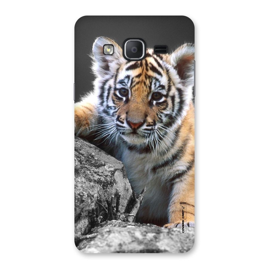 Animal Beauty Back Case for Galaxy On7 2015