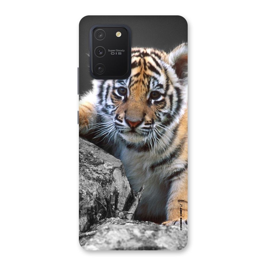 Animal Beauty Back Case for Galaxy S10 Lite