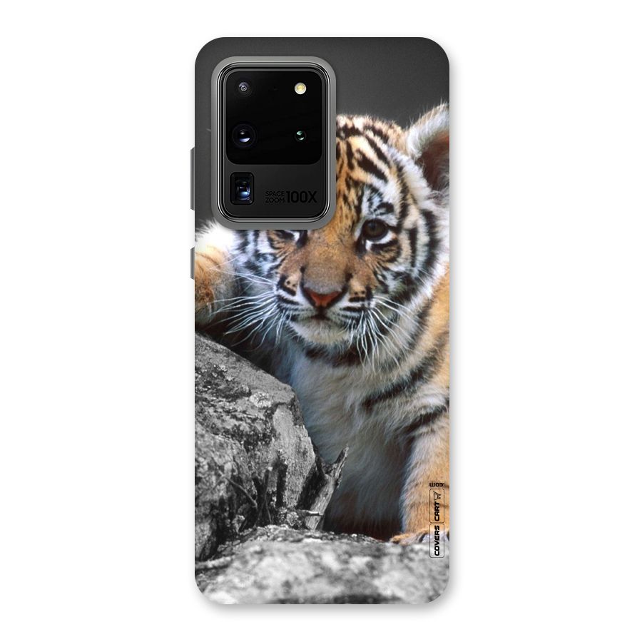 Animal Beauty Back Case for Galaxy S20 Ultra