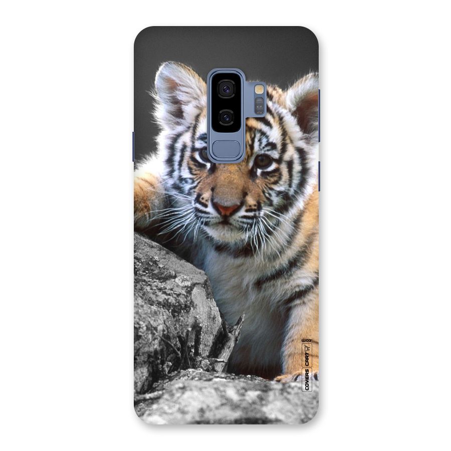 Animal Beauty Back Case for Galaxy S9 Plus