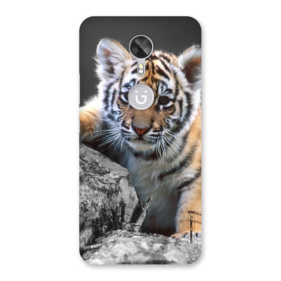 Animal Beauty Back Case for Gionee A1