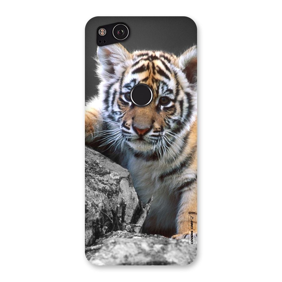 Animal Beauty Back Case for Google Pixel 2