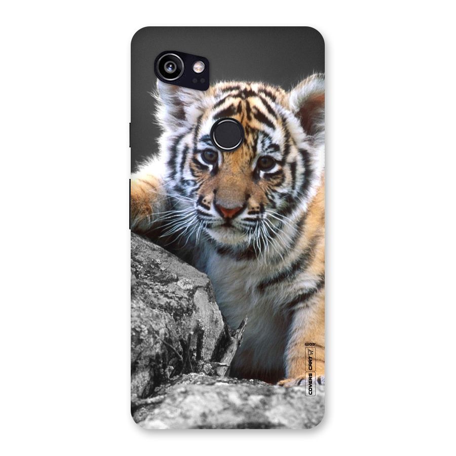Animal Beauty Back Case for Google Pixel 2 XL