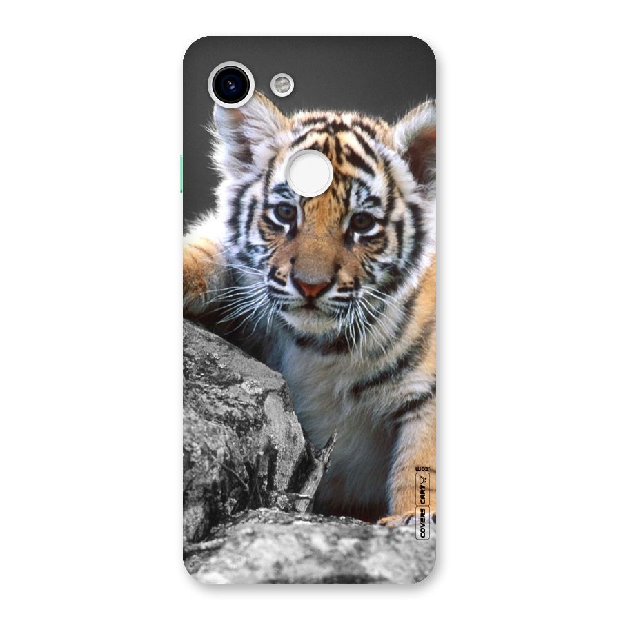 Animal Beauty Back Case for Google Pixel 3