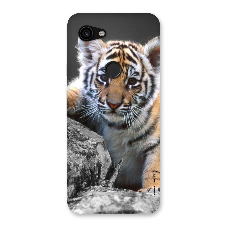 Animal Beauty Back Case for Google Pixel 3a
