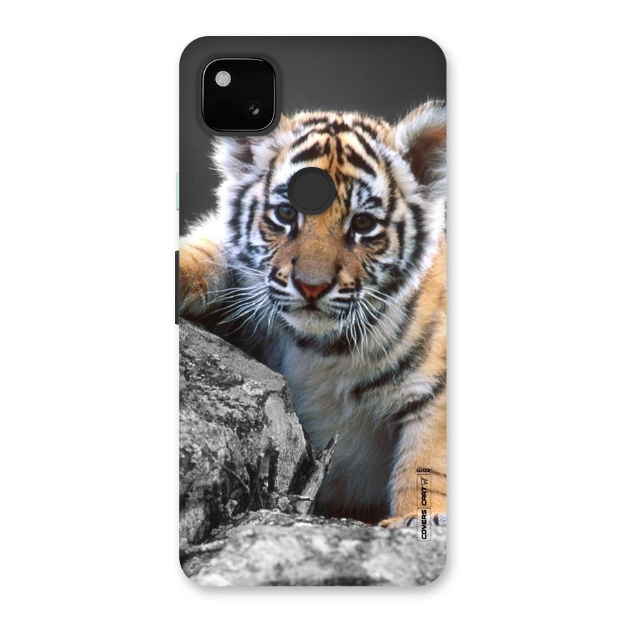 Animal Beauty Back Case for Google Pixel 4a