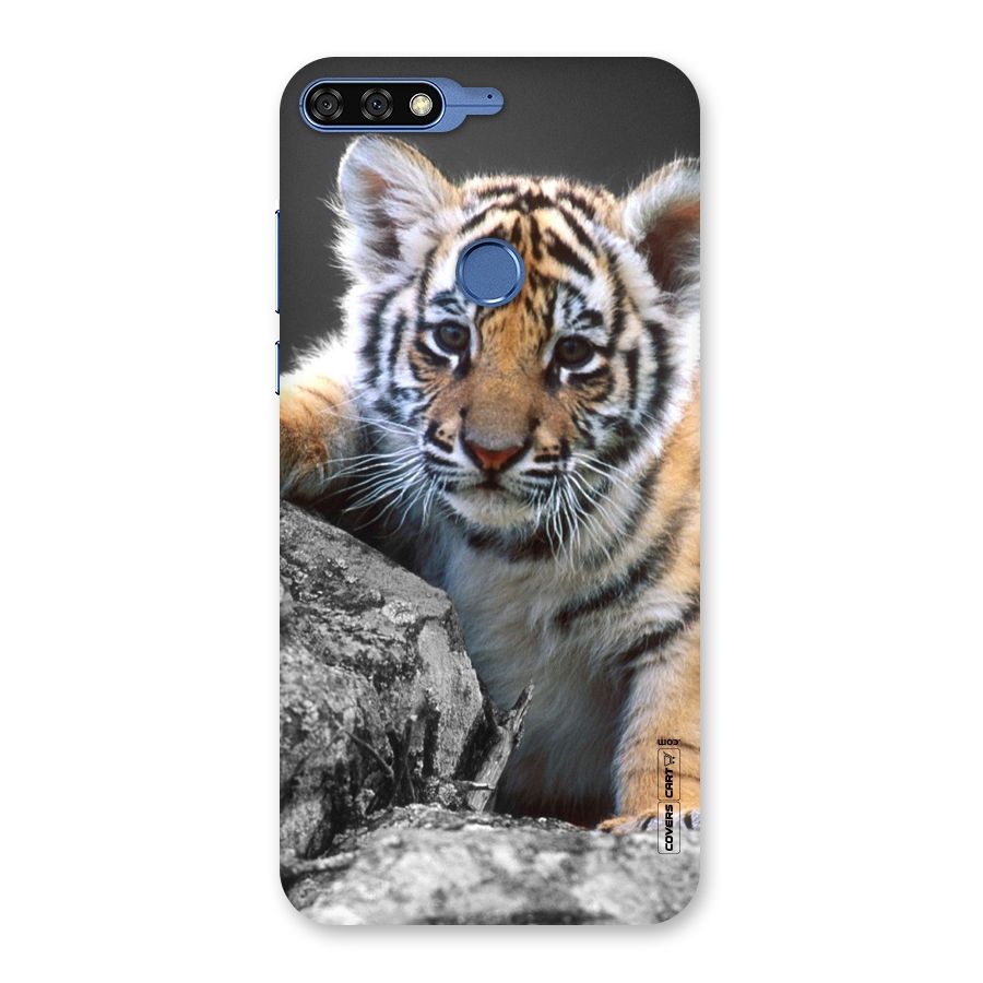 Animal Beauty Back Case for Honor 7C