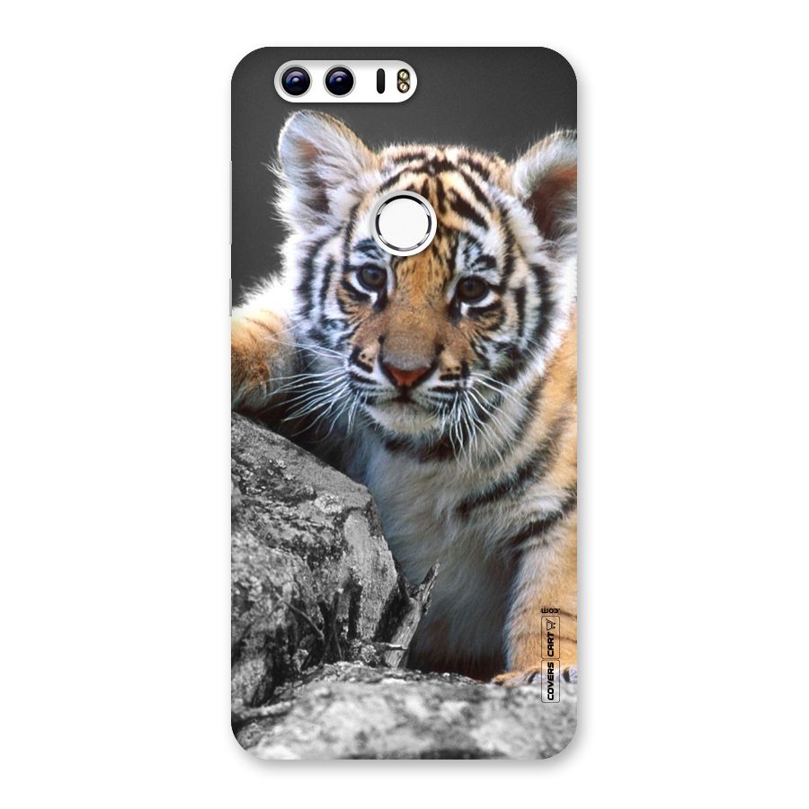 Animal Beauty Back Case for Honor 8