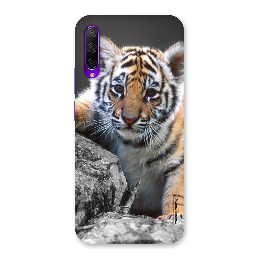 Animal Beauty Back Case for Honor 9X Pro