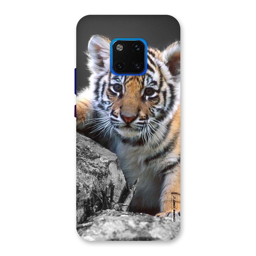 Animal Beauty Back Case for Huawei Mate 20 Pro