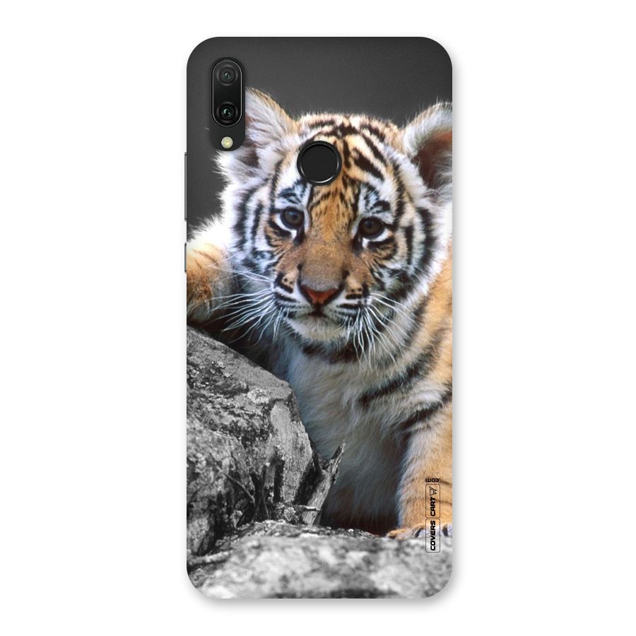 Animal Beauty Back Case for Huawei Y9 (2019)