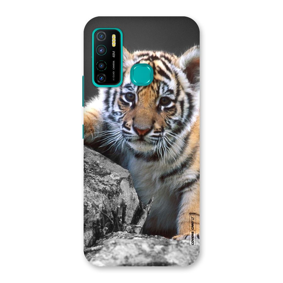 Animal Beauty Back Case for Infinix Hot 9 Pro