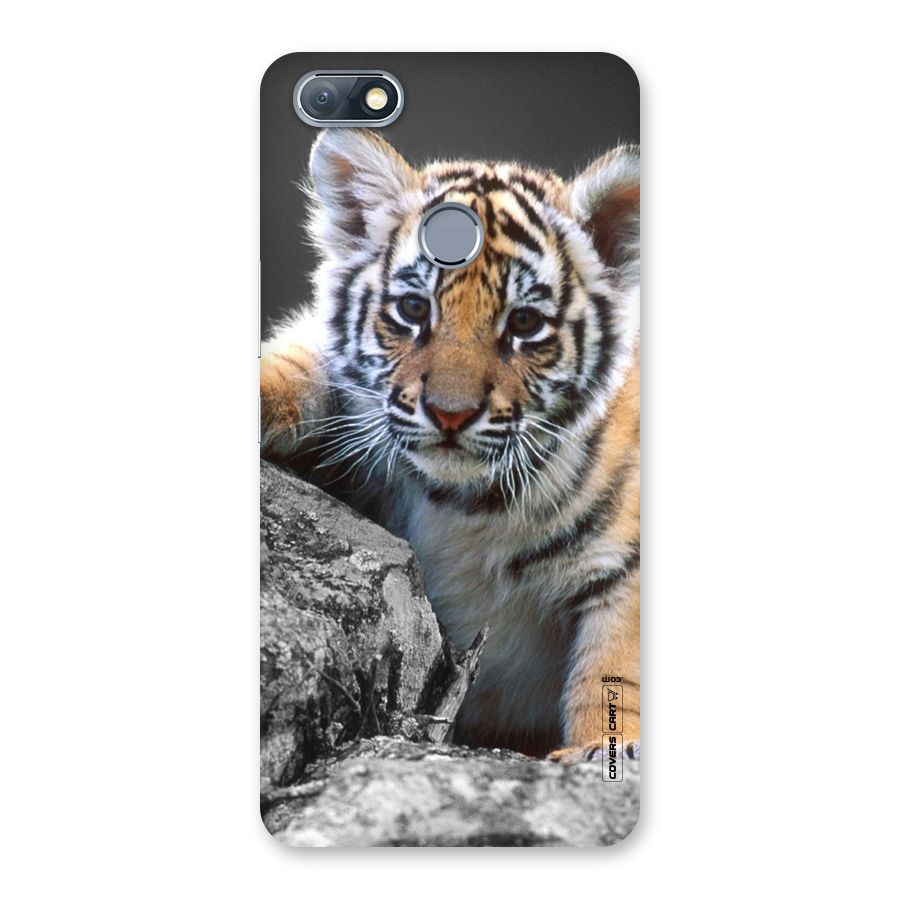Animal Beauty Back Case for Infinix Note 5