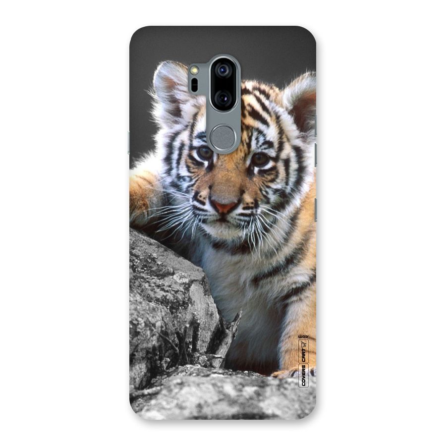 Animal Beauty Back Case for LG G7