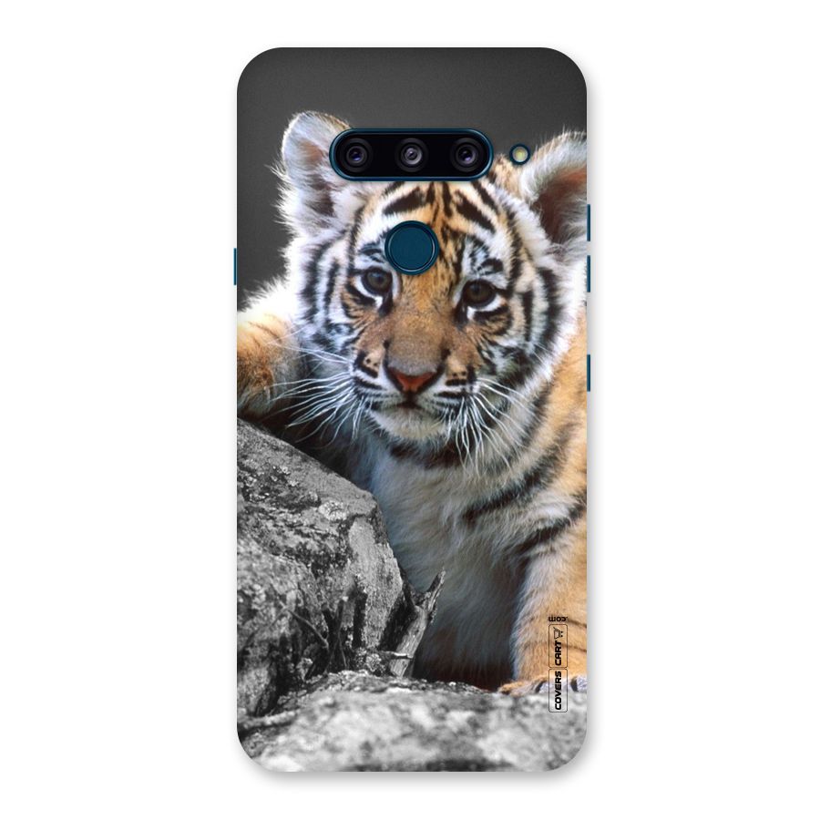 Animal Beauty Back Case for LG  V40 ThinQ