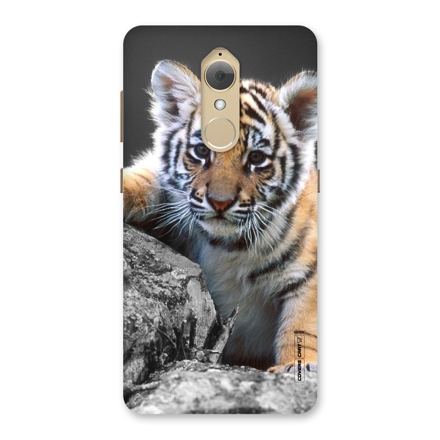 Animal Beauty Back Case for Lenovo K8