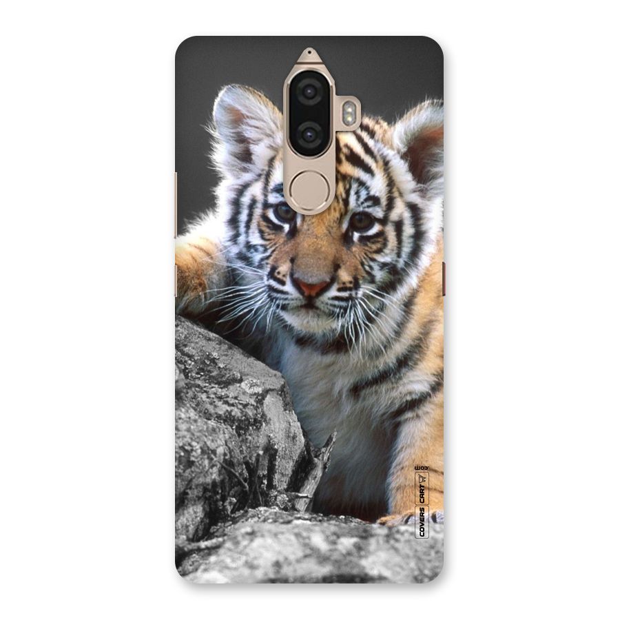 Animal Beauty Back Case for Lenovo K8 Note