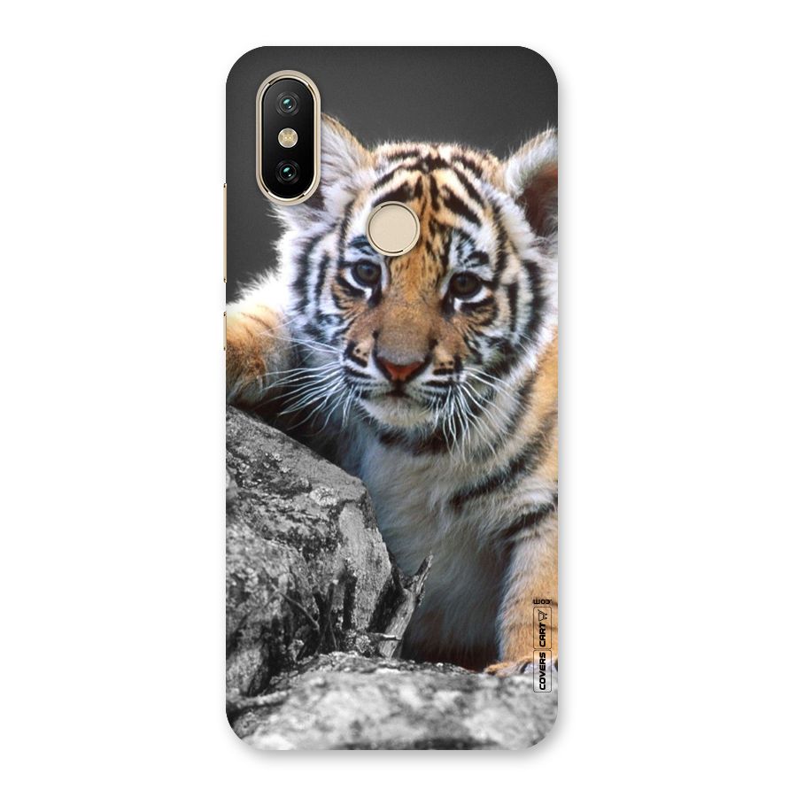 Animal Beauty Back Case for Mi A2