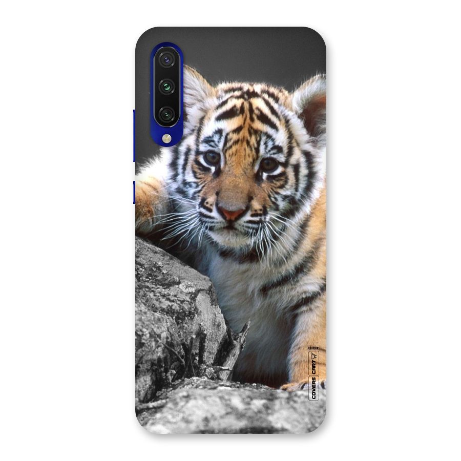 Animal Beauty Back Case for Mi A3