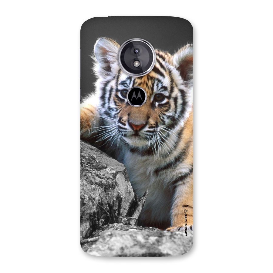 Animal Beauty Back Case for Moto E5