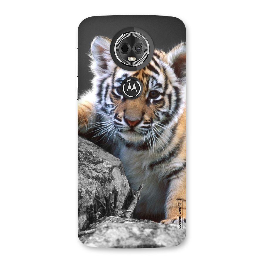 Animal Beauty Back Case for Moto E5 Plus