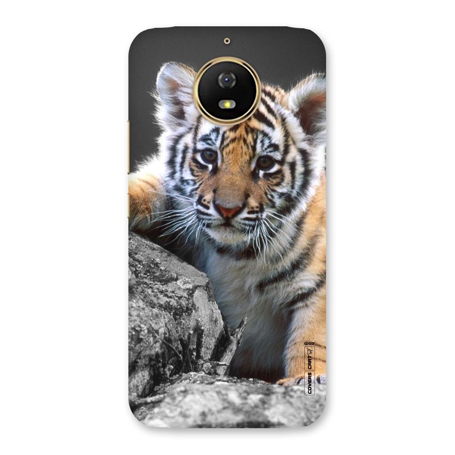Animal Beauty Back Case for Moto G5s