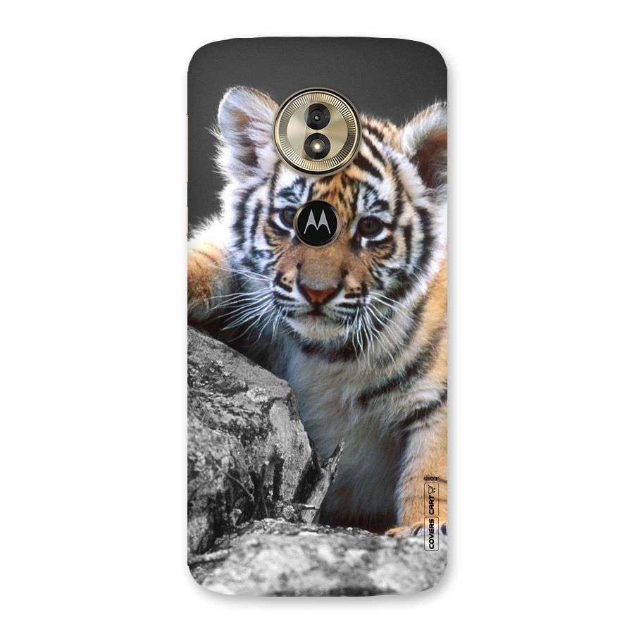 Animal Beauty Back Case for Moto G6 Play