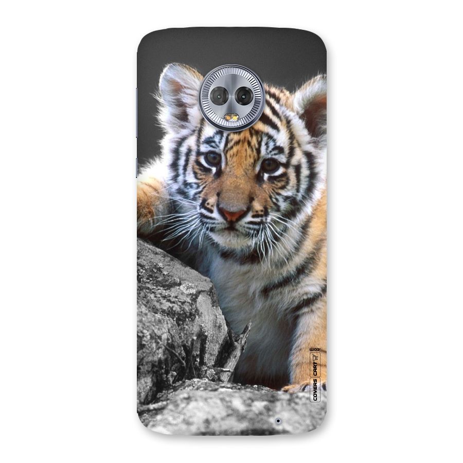 Animal Beauty Back Case for Moto G6 Plus