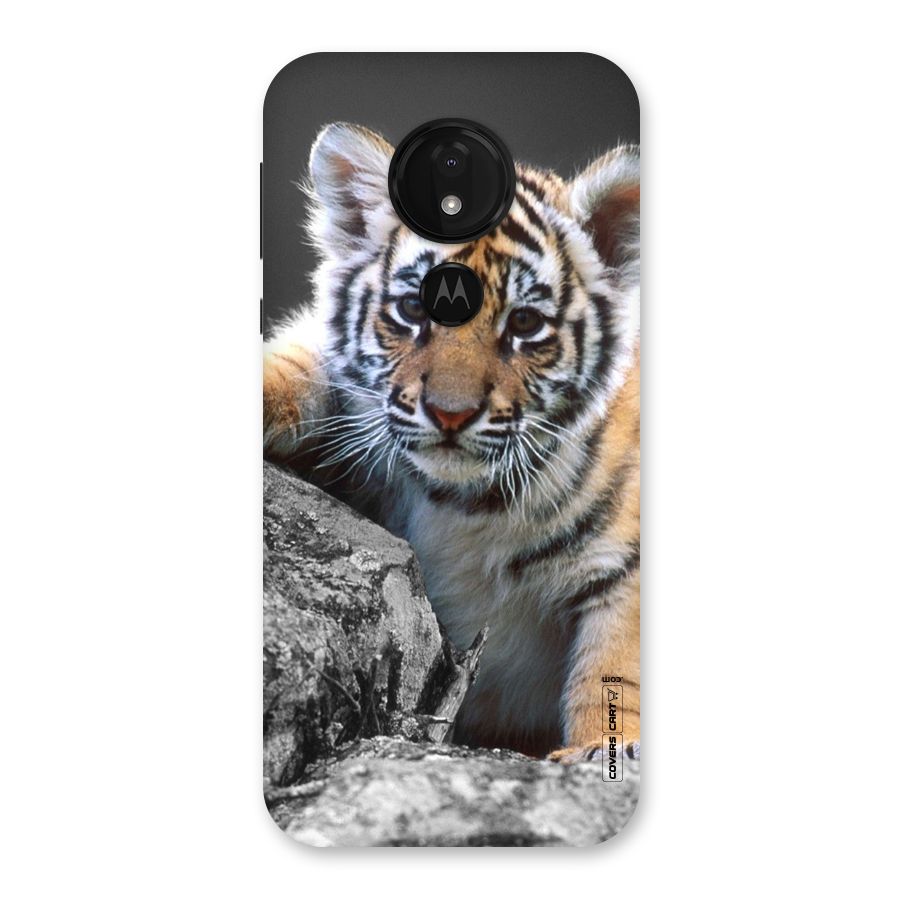 Animal Beauty Back Case for Moto G7 Power