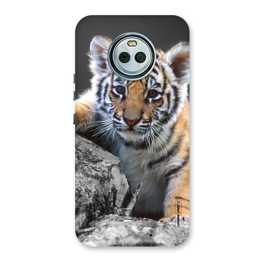 Animal Beauty Back Case for Moto X4