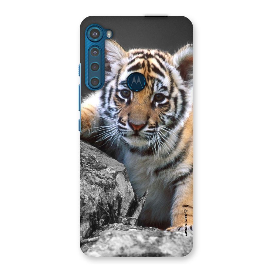 Animal Beauty Back Case for Motorola One Fusion Plus