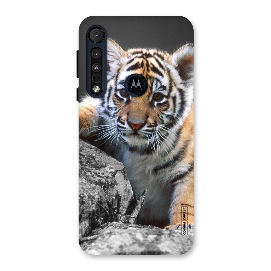 Animal Beauty Back Case for Motorola One Macro