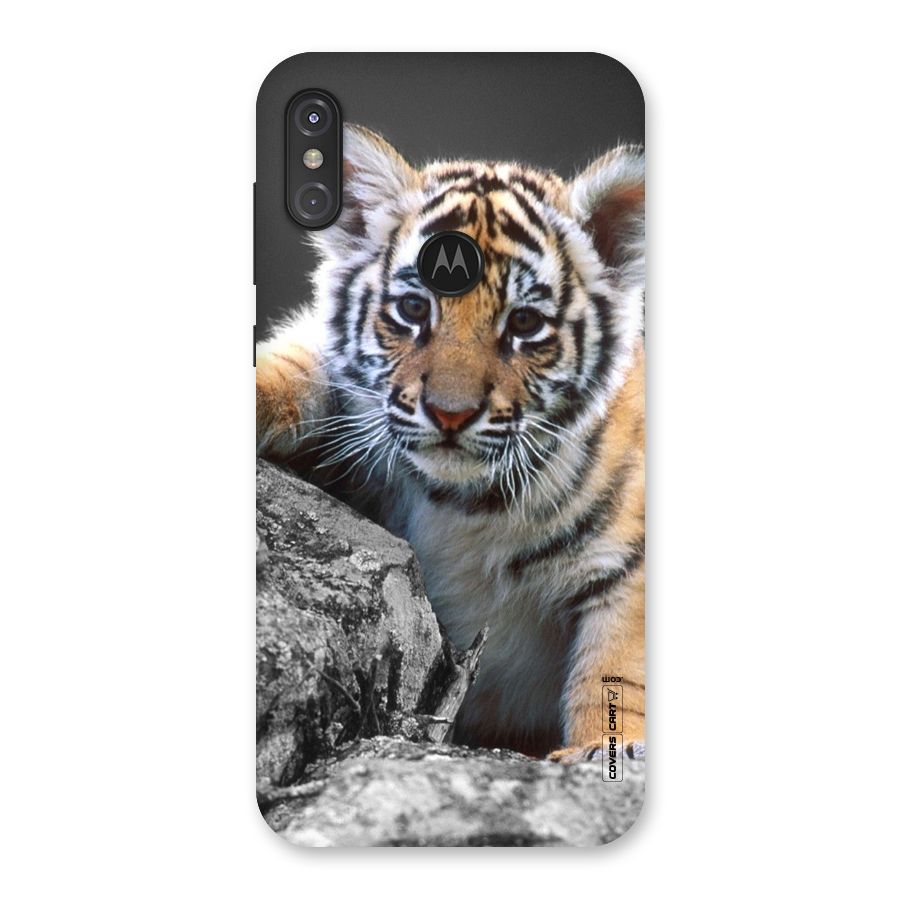 Animal Beauty Back Case for Motorola One Power