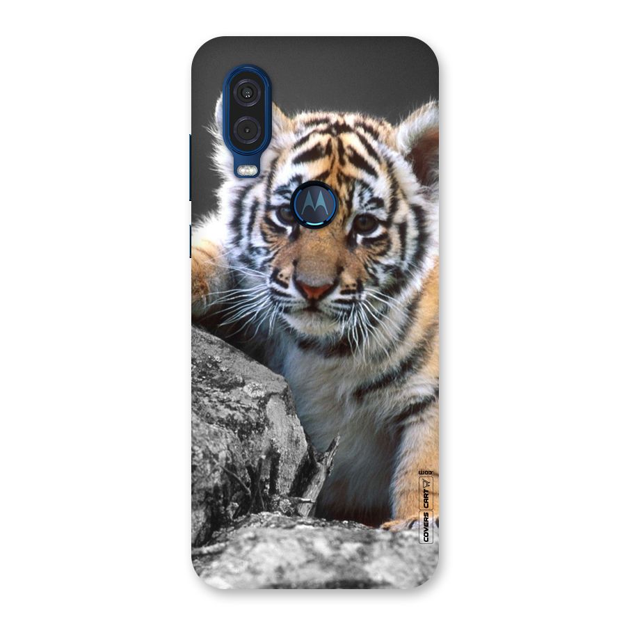 Animal Beauty Back Case for Motorola One Vision