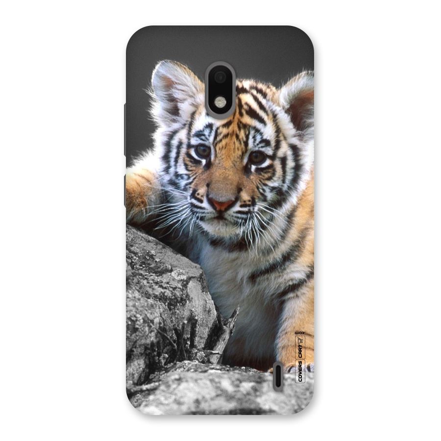 Animal Beauty Back Case for Nokia 2.2