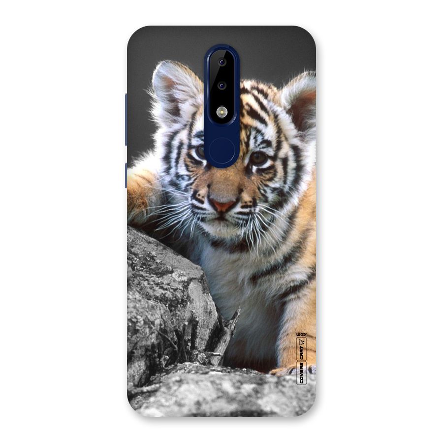 Animal Beauty Back Case for Nokia 5.1 Plus