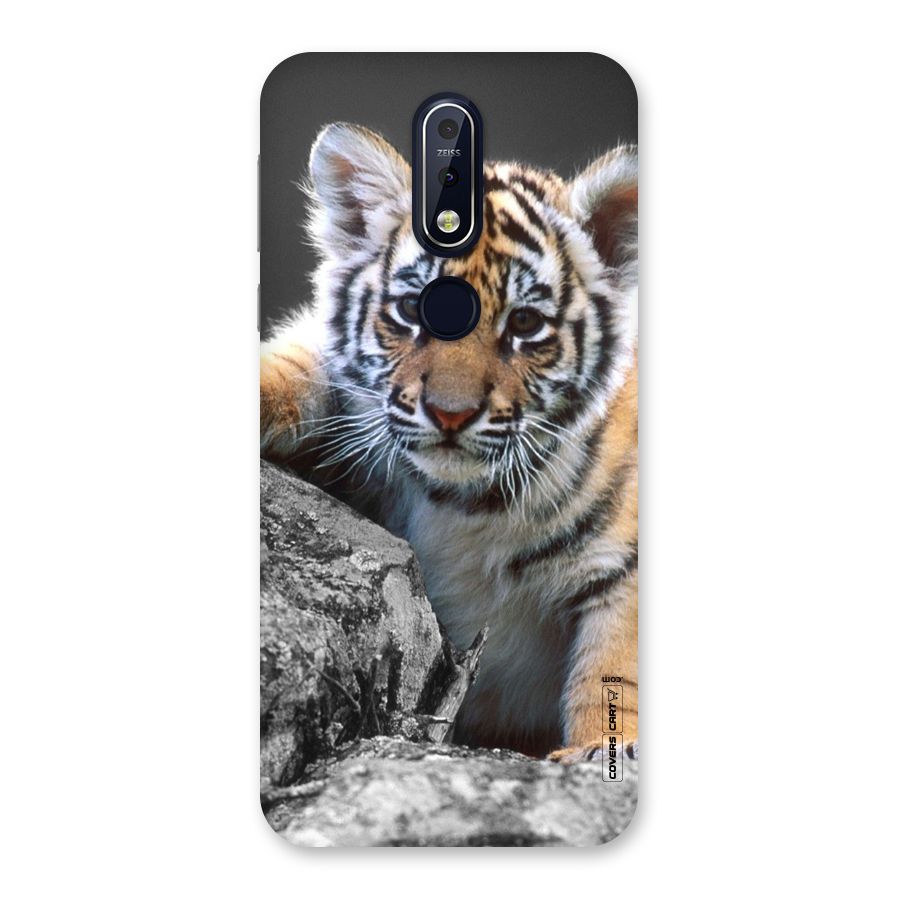 Animal Beauty Back Case for Nokia 7.1