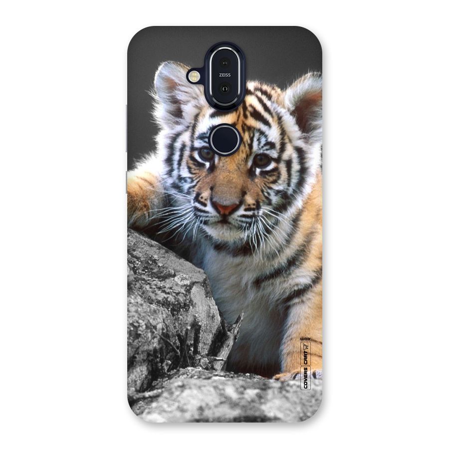Animal Beauty Back Case for Nokia 8.1