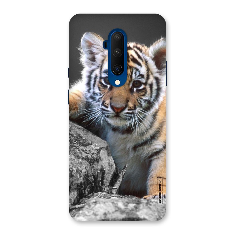 Animal Beauty Back Case for OnePlus 7T Pro