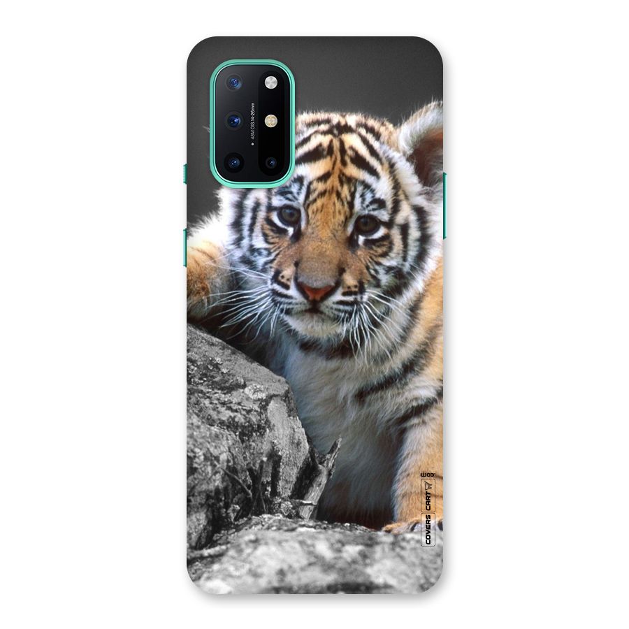 Animal Beauty Back Case for OnePlus 8T