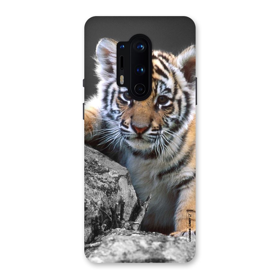 Animal Beauty Back Case for OnePlus 8 Pro
