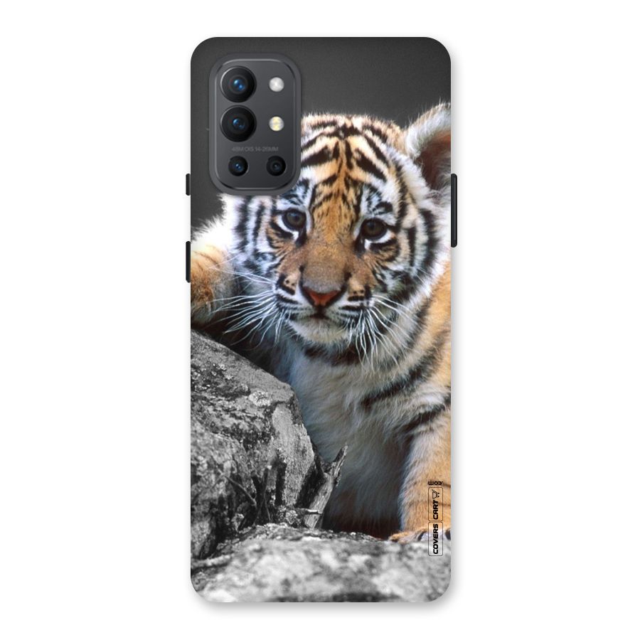 Animal Beauty Back Case for OnePlus 9R