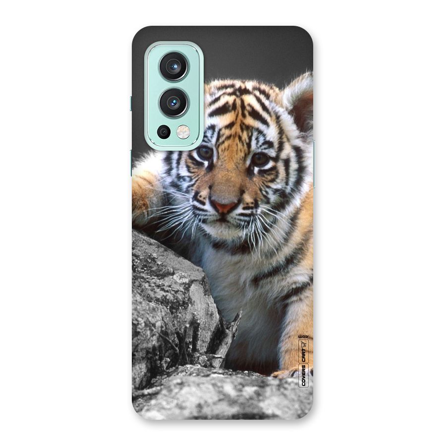 Animal Beauty Back Case for OnePlus Nord 2 5G