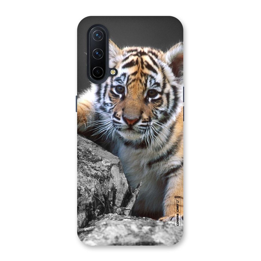 Animal Beauty Back Case for OnePlus Nord CE 5G