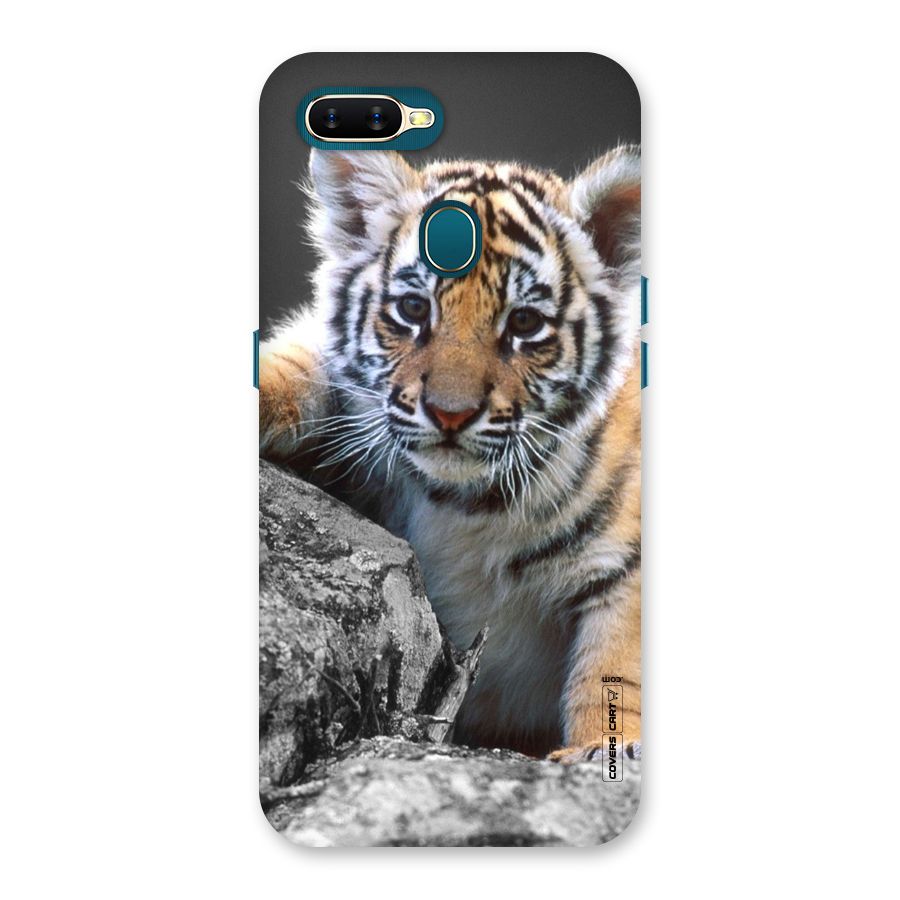 Animal Beauty Back Case for Oppo A11k