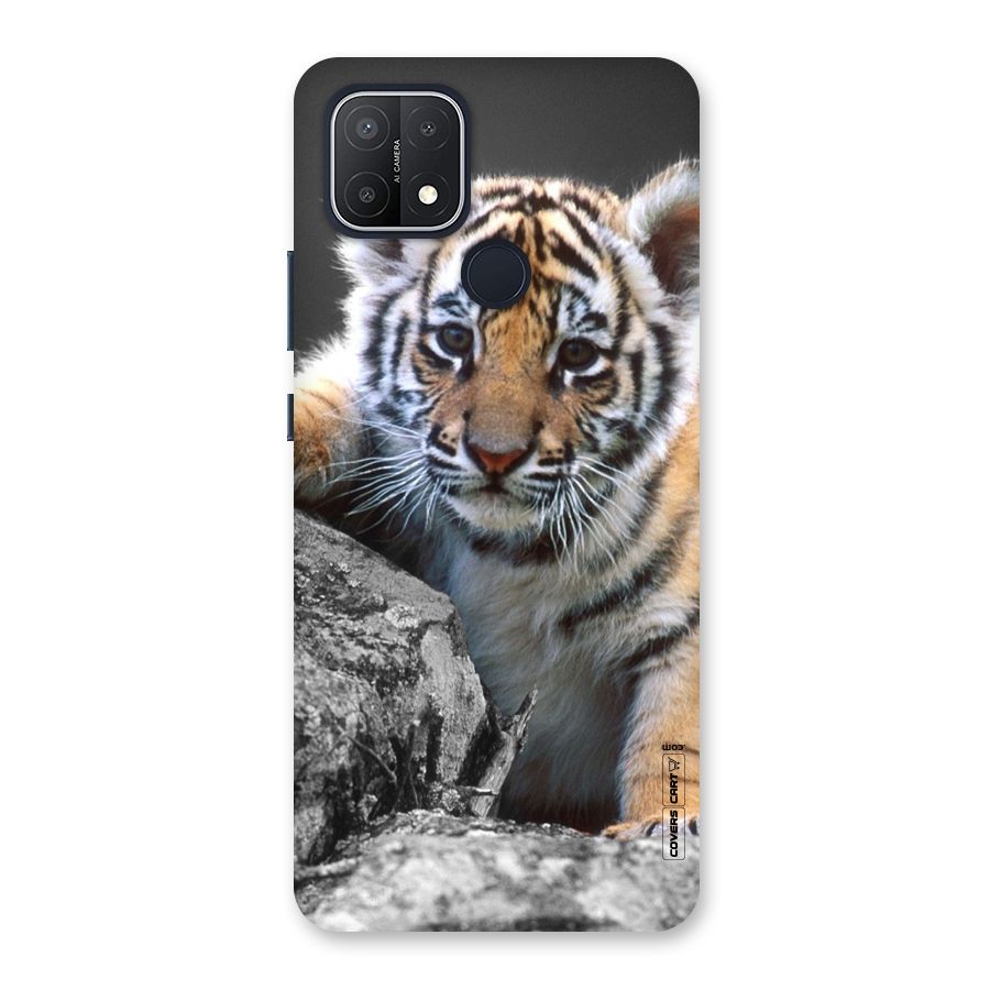 Animal Beauty Back Case for Oppo A15